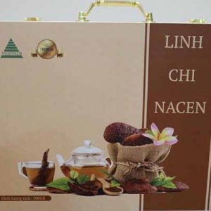 linh chi nacen 05